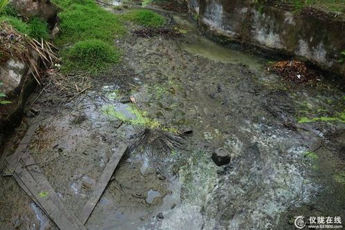 仪陇县政府旁有一条臭水沟,相对于沟旁绿柳鲜花实在是大煞风景的事.