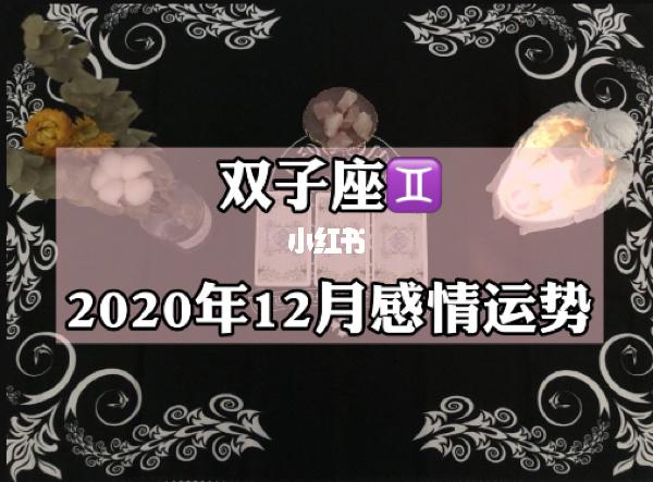 双子座762023年12月感情运势