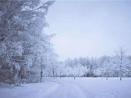 周公解梦 梦到自然 梦见大雪纷飞意味着——容易得到长辈