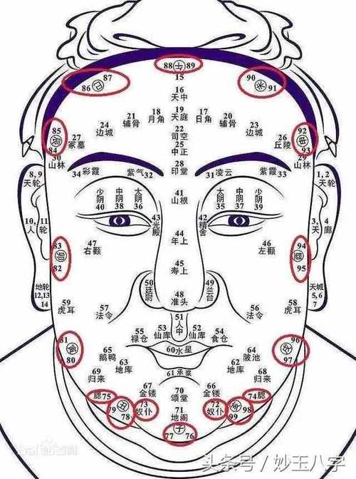 看面相最快的方法