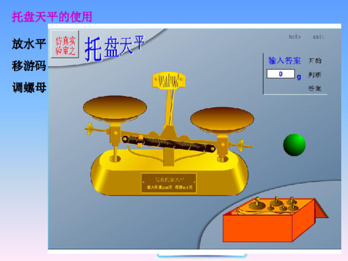 苏科版第六章第二节用天平测物体的质量 课件(21张ppt)