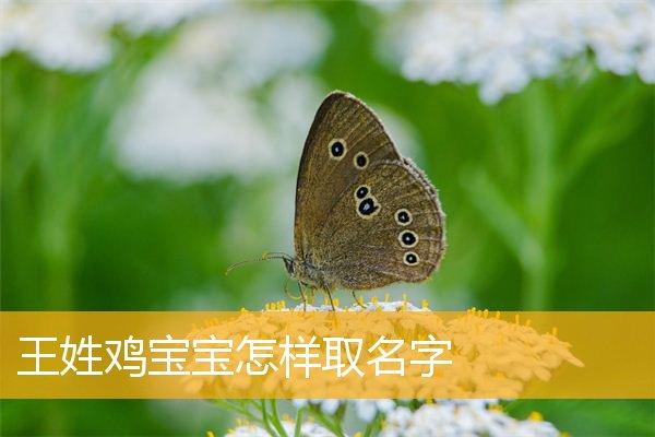 鸡年秋天生宝宝起名 鸡年的宝宝取什么名字好