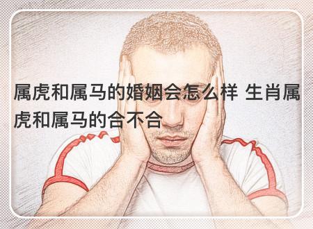 属虎和属马的婚姻会怎么样 生肖属虎和属马的合不合