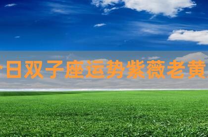 今日双子座运势紫薇老黄历,紫微2023年的流年运势,12生肖每日运势播报