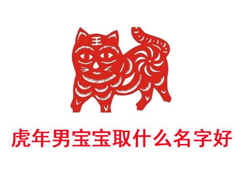 虎年男宝宝取什么名字好