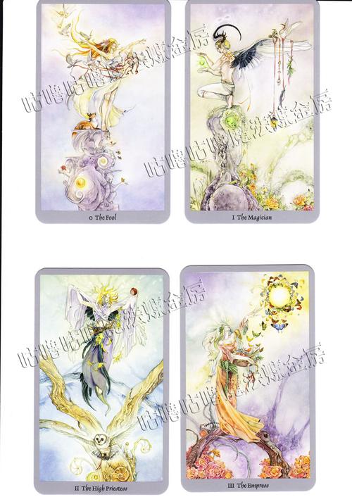 进口正版shadowscapes tarot花影/幻影塔罗牌 赠翻译/资料 布袋