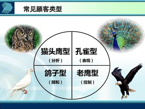 电脑卖场相应的客户分析 常见顾客类型 猫头鹰型 孔雀型 (分析) (表现