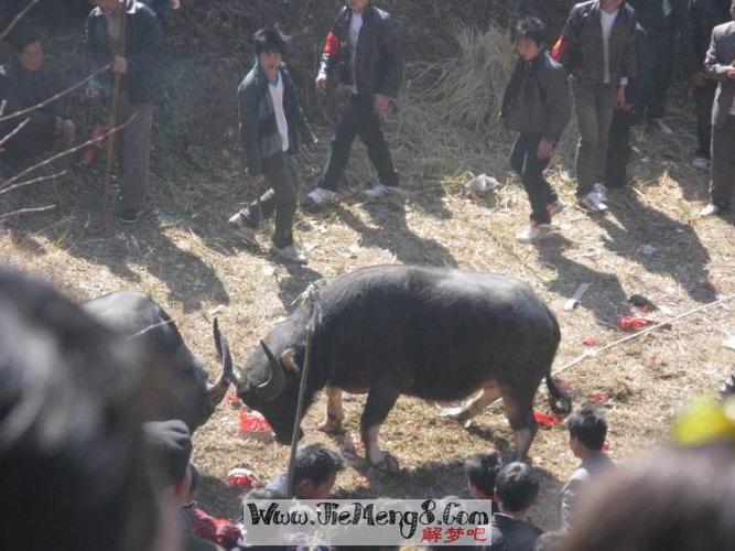 梦见女儿被杀可能是你看恐怖片看多了吗