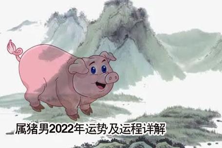 83年属猪今年运势 猪人2024年有3人离开