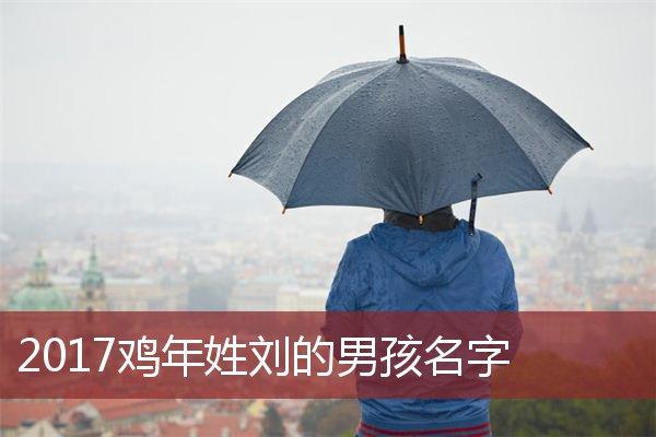 鸡年男宝宝起名姓刘 男宝姓刘取名