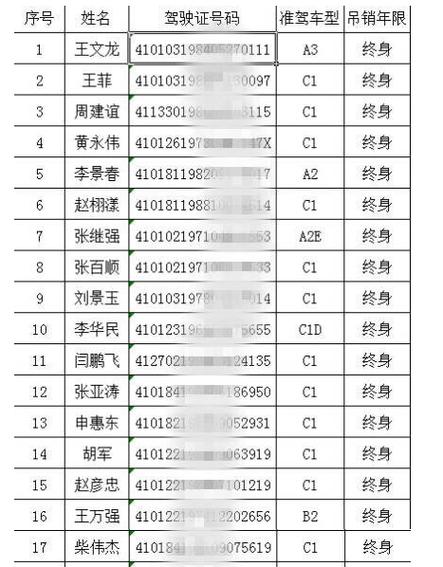 郑州119名驾驶员被终身禁驾名单身份证号等信息公布