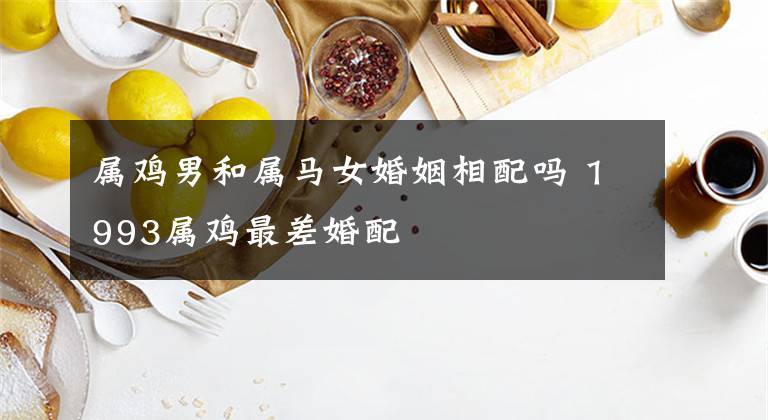 属鸡和属马的合不合财 属马的和属鸡的合不合财