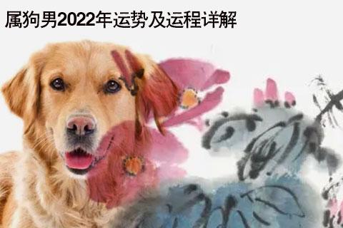 属狗2023年运势及运程 兔年属狗2023年运势及运程