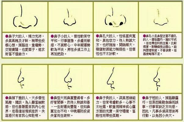 在面相学上,从鼻子可以看出一个人的财运和性格命运,那么,鼻孔大的