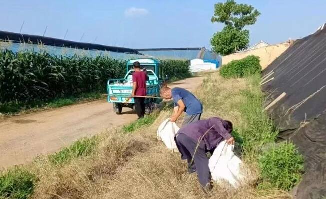 寿光市稻田镇扎实推进农药化肥包装废弃物回收工作