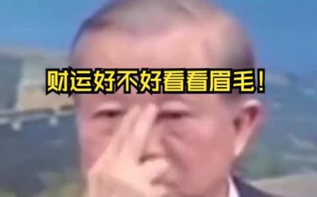 财运好不好看看眉毛!