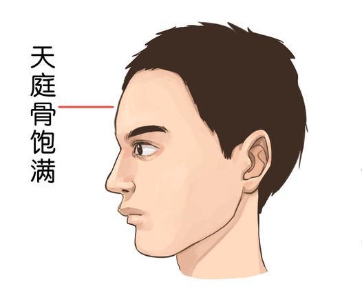 存在,风雪不化,只有越来越挺拔,所以本身的骨质是很重要的,在面相学上