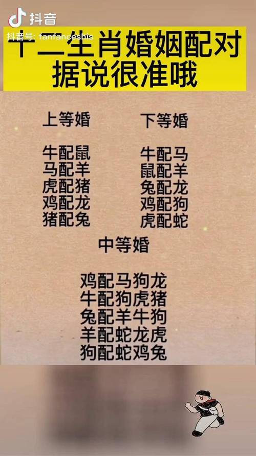 十二生肖最佳婚配表据说很准哦生肖文化弘扬国学经典文化涨知识国学