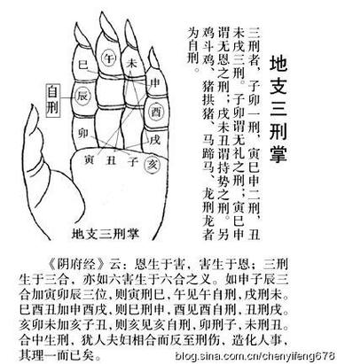 属相相刑中的三种属相,它们相遇会出现怎样的情况