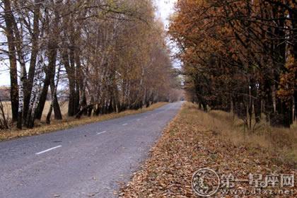 风水八字详解:路旁土命是什么意思