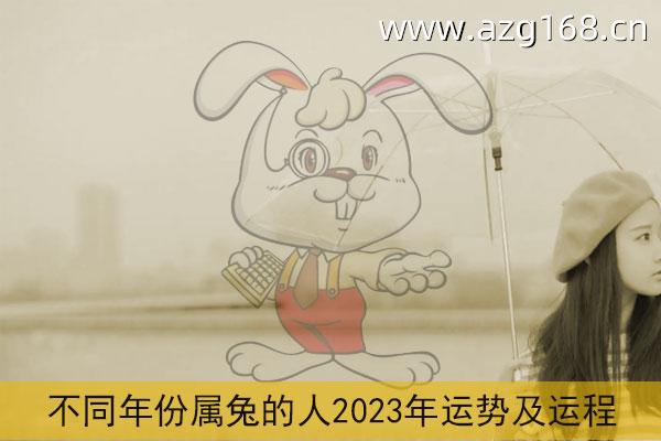 属兔2023运势测算 属兔的2023年运势