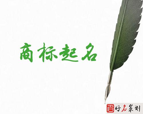 商标名称起名大全