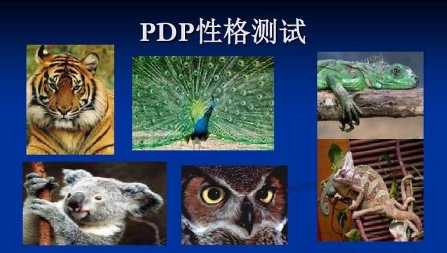 pdp性格测试30题(简述版)看看你是什么动物?