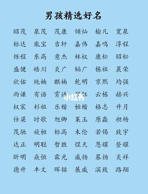 2023姓何的男宝宝名字带金字金字取名男孩名字有才起名(何起名字好听男孩)