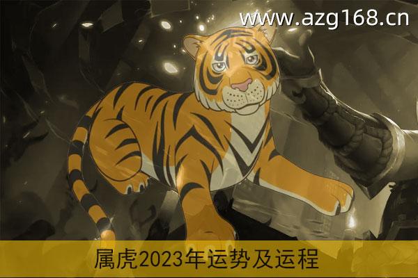2023年属虎的人全年运势 2023年属虎人全年运势1974年
