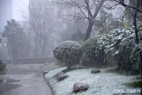 雨夹雪!喜大普奔!今日郑州喜提