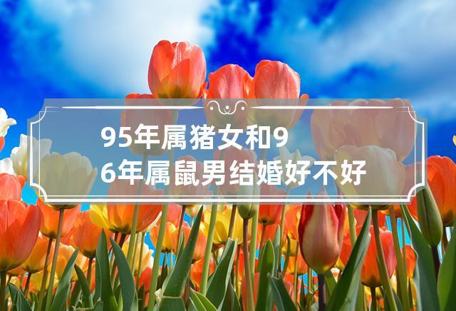 95年属猪女和96年属鼠男结婚好不好 95年属猪的女和96年属鼠的男八字