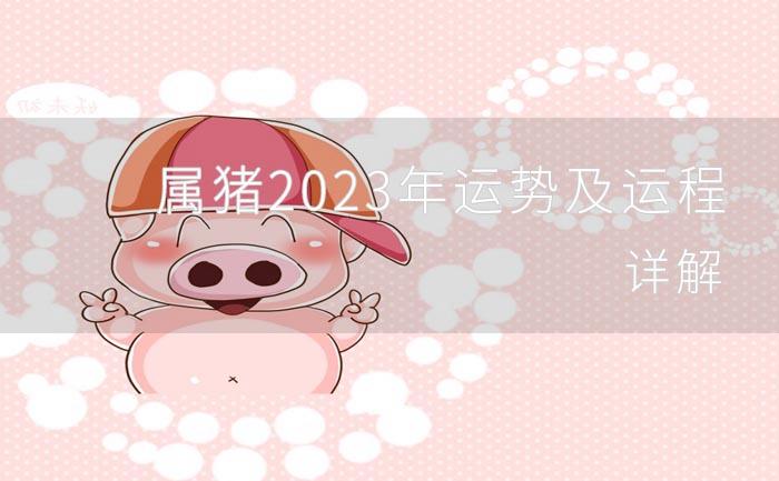 2023年生肖猪的全年运势 2023年生肖猪的全年运势及运程