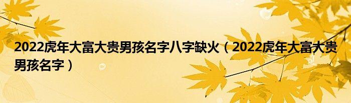 2023虎年大富大贵男孩名字八字缺火2023虎年大富大贵男孩名字