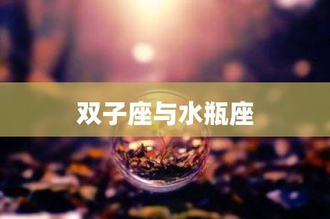 双子座与水瓶座