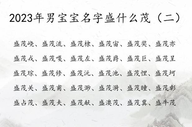 2023年男宝宝名字盛什么茂 带茂字的男孩名字盛_有才起名网