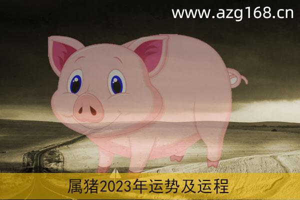 属猪的在2023年的运势 属猪2023年运势第一运势
