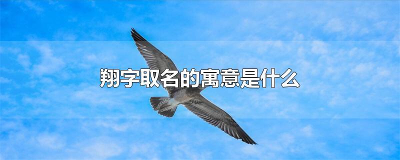 翔字取名的寓意是什么