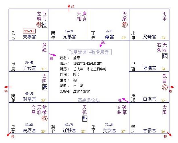 第三课--第三节:命禄,命忌的手法及解释-飞星紫微-搜狐博客