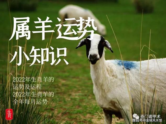 生肖属羊2月份运势2023年运势2023年属羊人每月运程怎样是什么意思