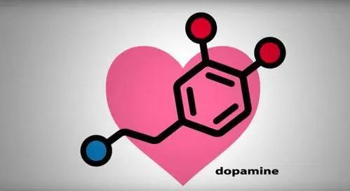 多巴胺|血清素|催产素|生化|奖赏_网易订阅