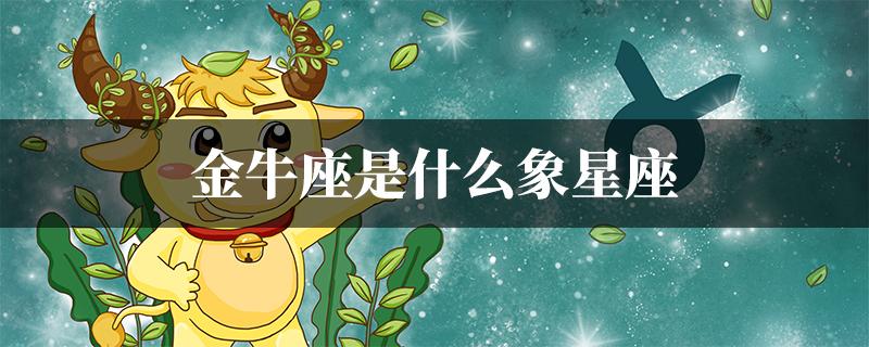 金牛座是什么象星座