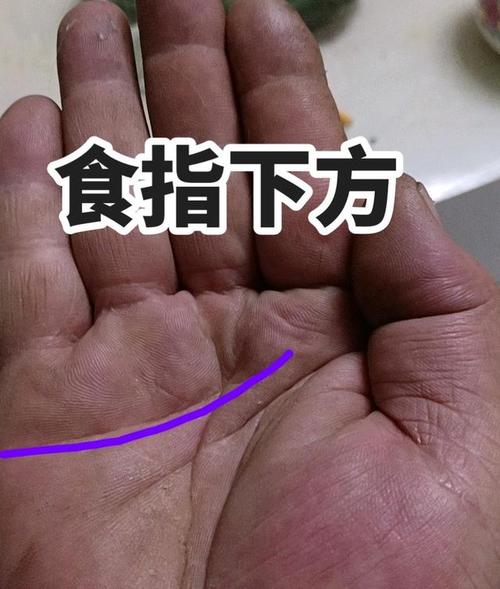 感情线延伸到食指下方