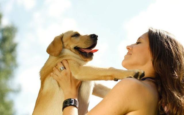为什么人与狗狗的感情会超越人与人之间的关系
