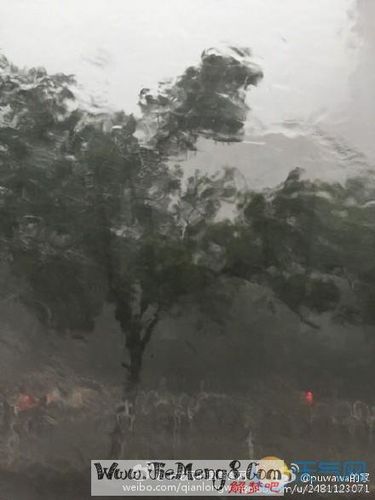 梦见刮大风下大雨