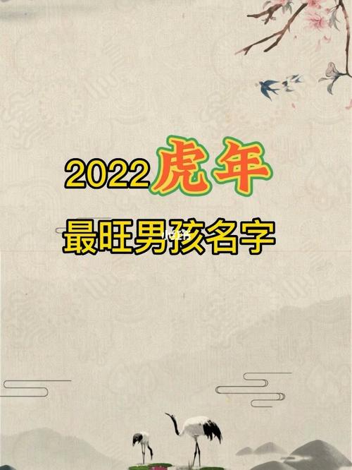 2023虎年最旺男孩名