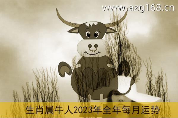 属牛的在2023年的运气 2022年属牛下半年要出大事