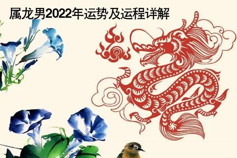 属龙男2023年运势及运程详解2023年属龙人的全年运势男性