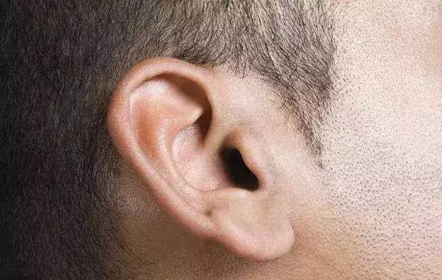 耳朵小的人命运咋样, 最好的耳朵面相是什么?_耳垂