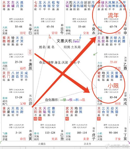 2024紫微斗数流年详解(紫微斗数2023年解读)