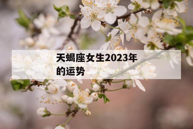 天蝎座女生2023年的运势 第1张